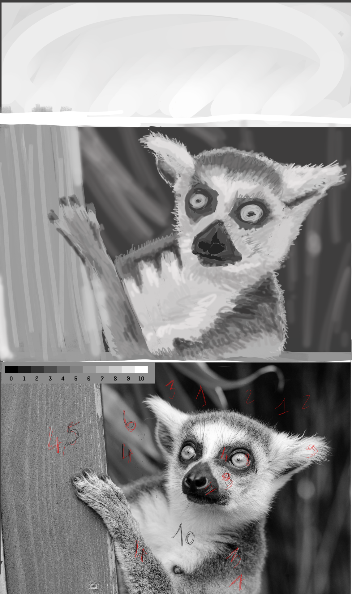 lemur-ring-tailed-lemur-primate-mammal par Fabia