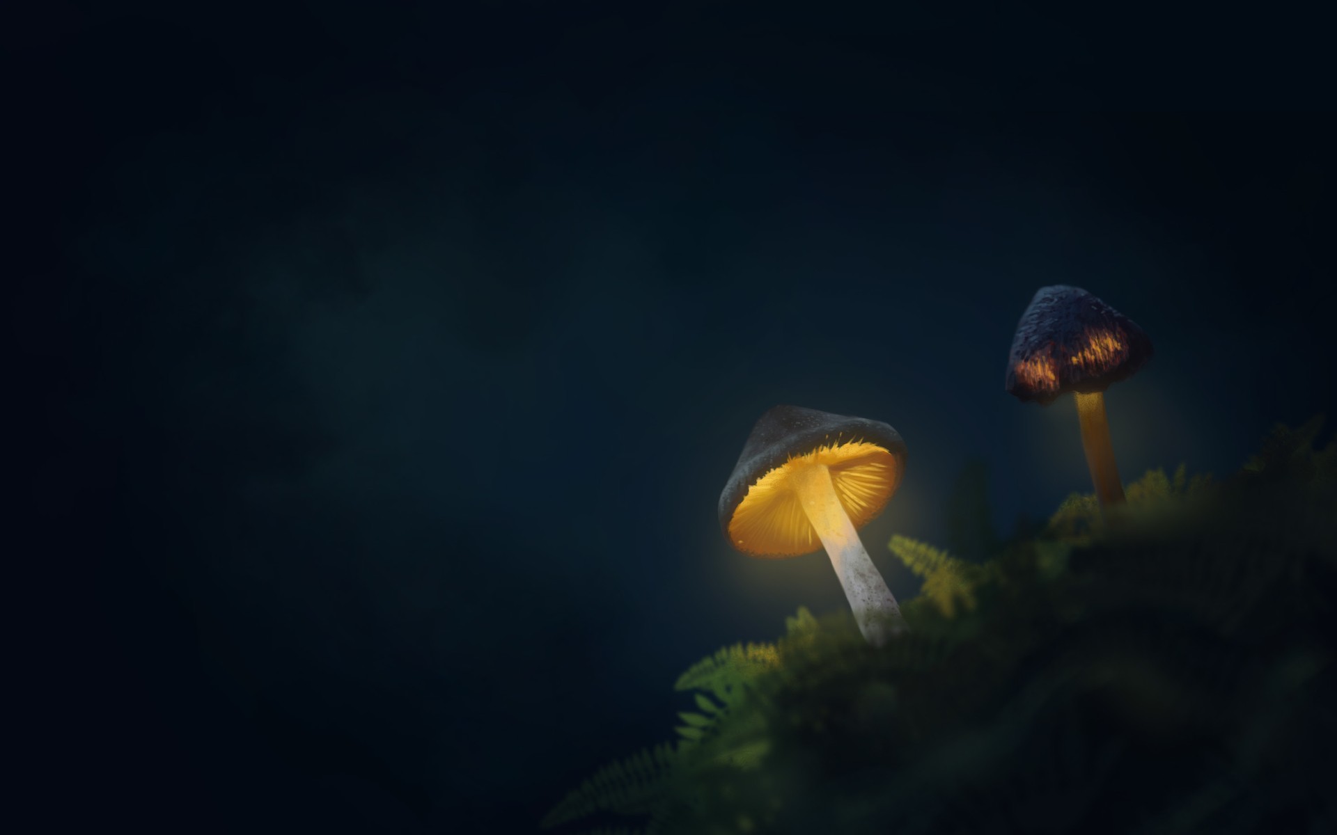 Mushroom par Alcor