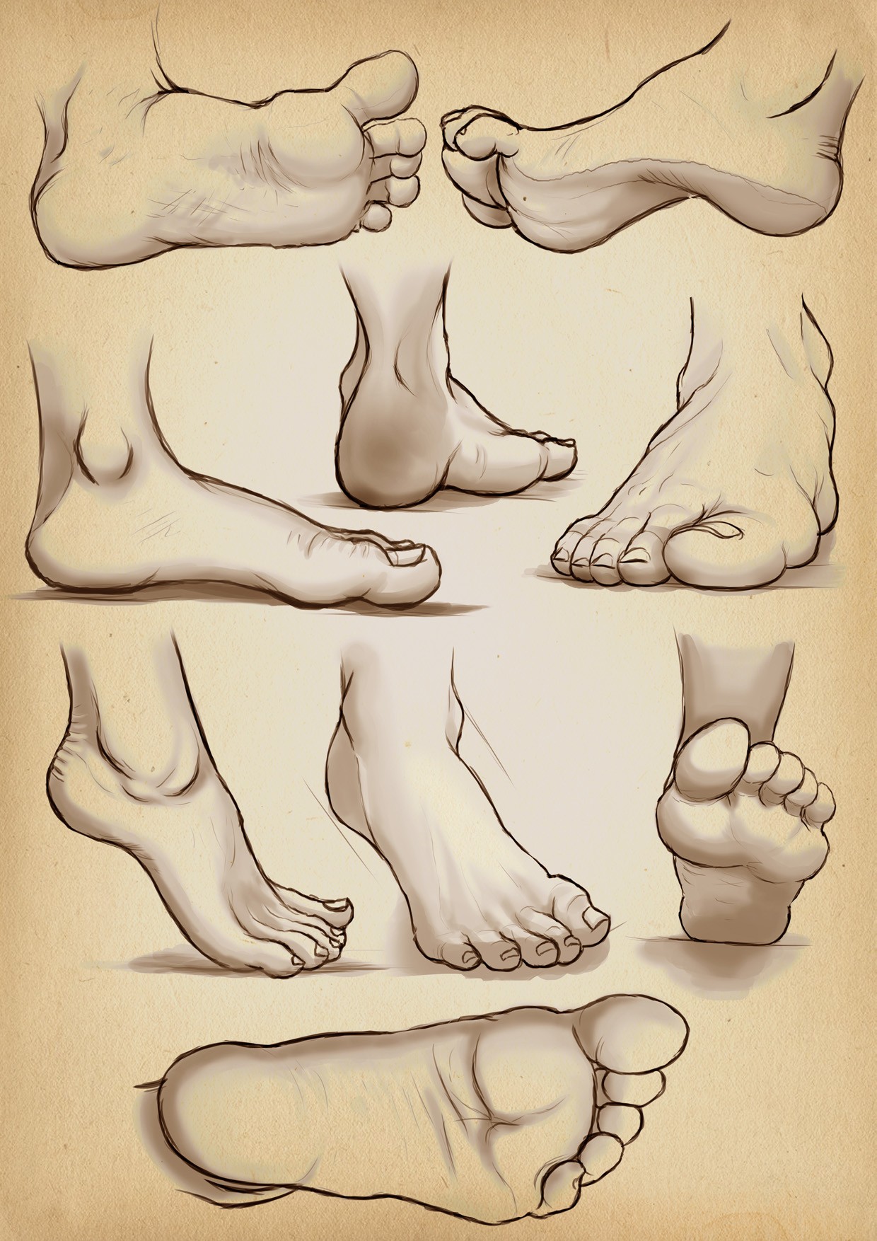 Foots study par rew