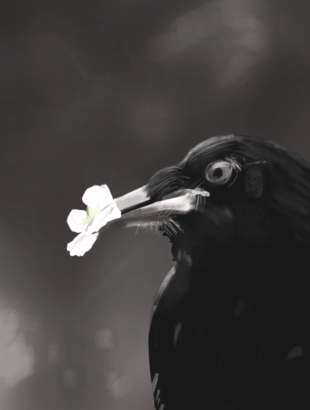 corbeau par Arktic
