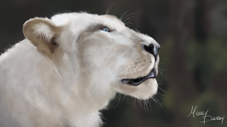 Lionne blanche par MerryDaurey