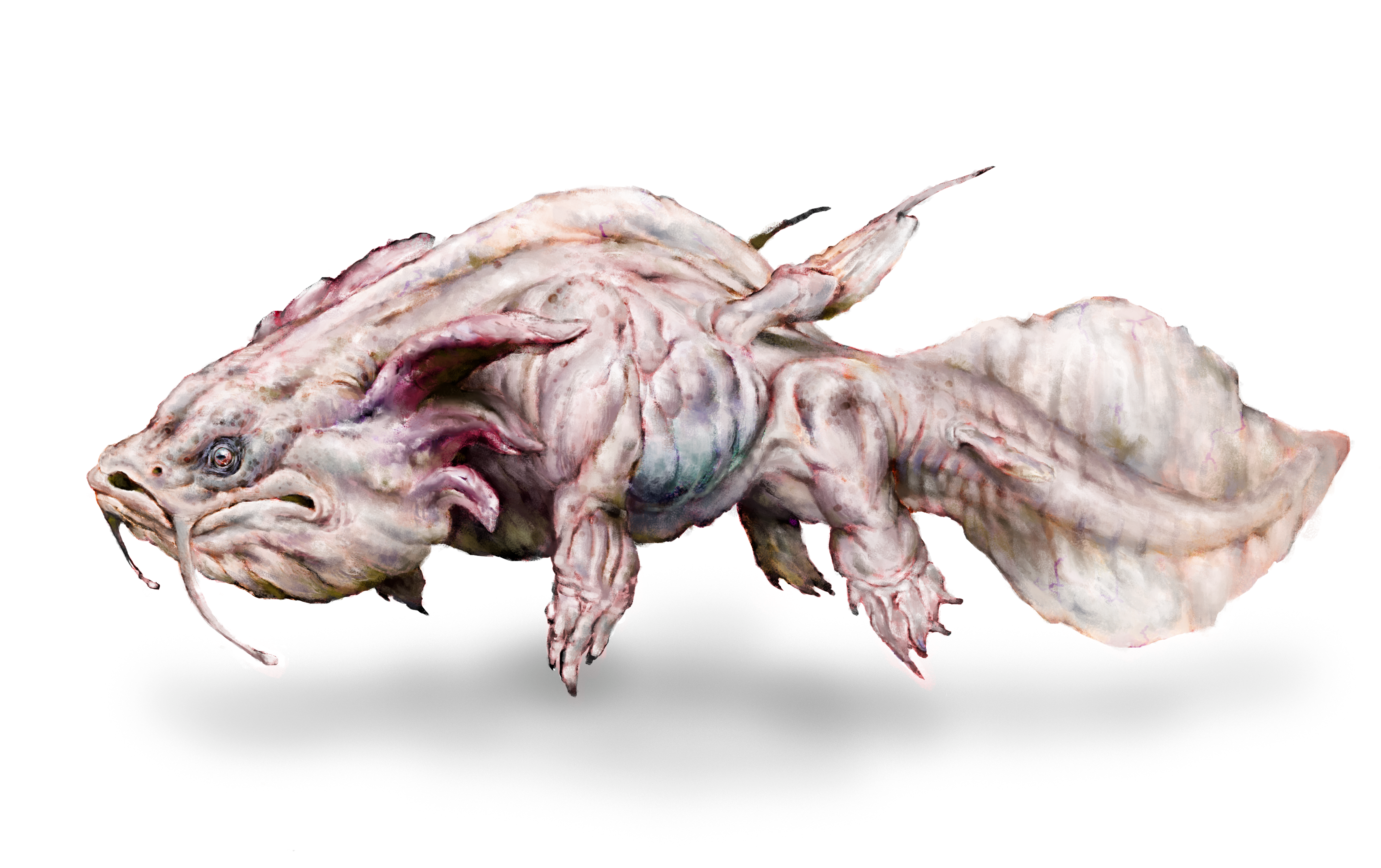 Mount Axolotl (skymmer) Guild wars 2 par Zatchlase