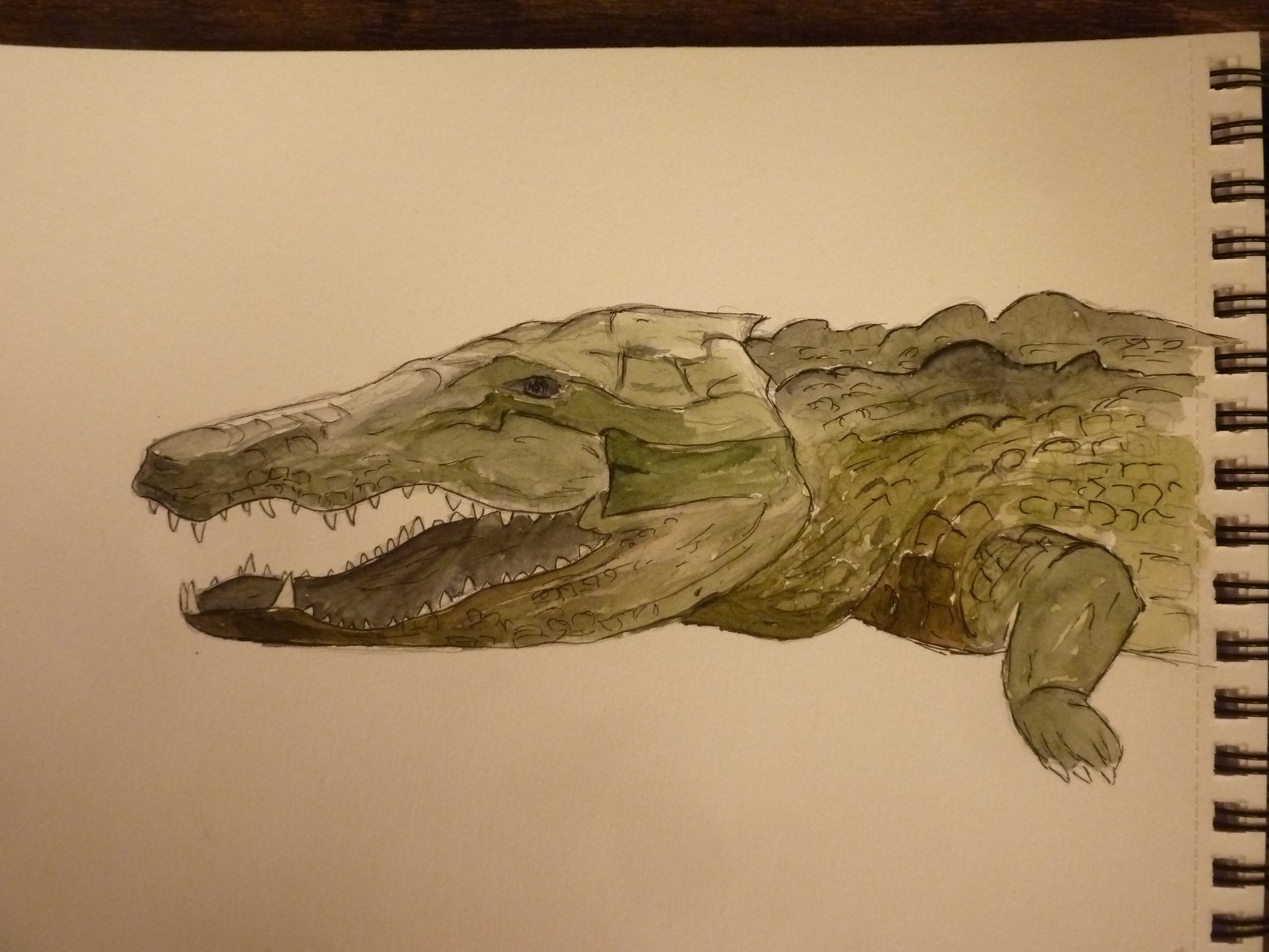 Crocodile par ganondorf