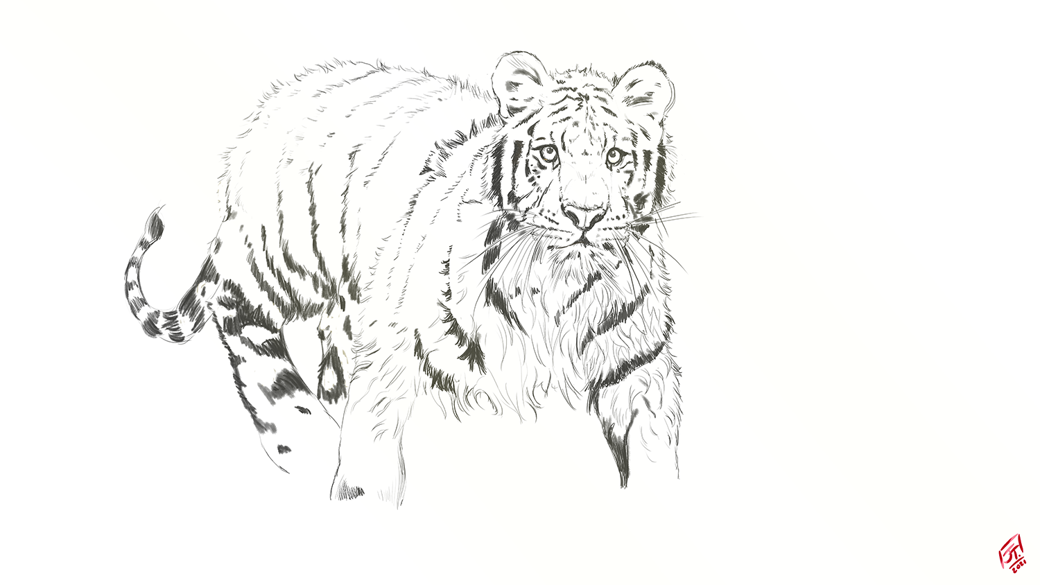 Jeune tigre par Kahlim